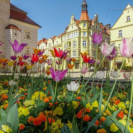 Apartament Przy Starowce - Hampton Болеславець Екстер'єр фото
